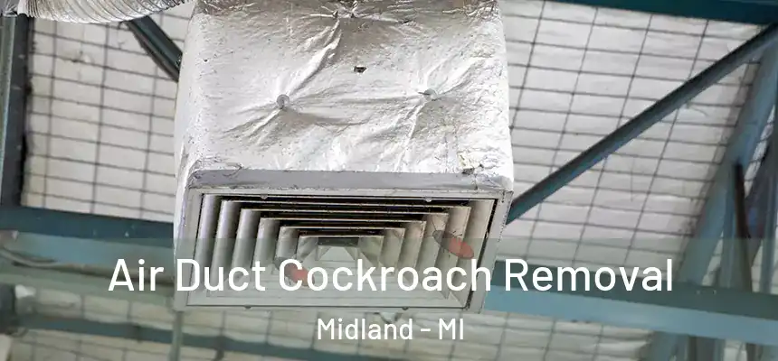 Air Duct Cockroach Removal Midland - MI