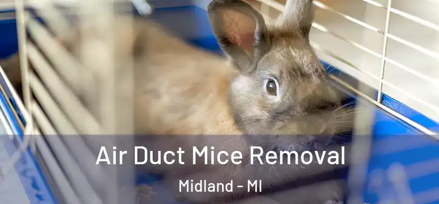 Air Duct Mice Removal Midland - MI
