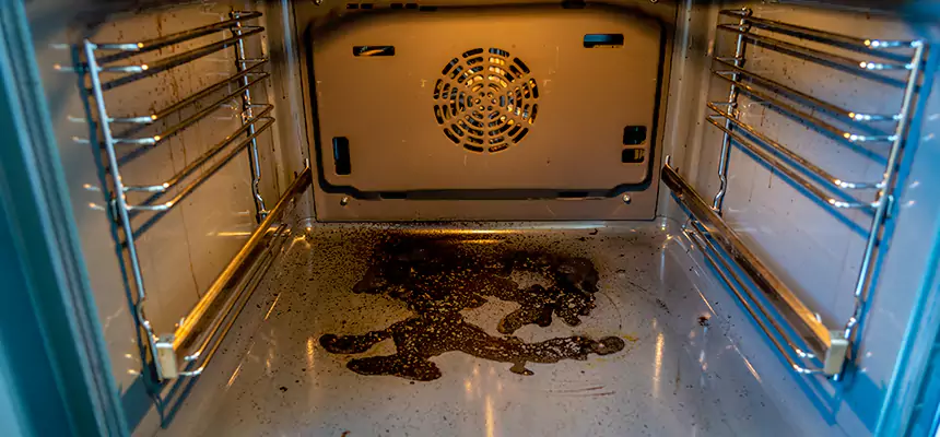 Our Dryer Vent Mold Cleaning Services in Midland, MI