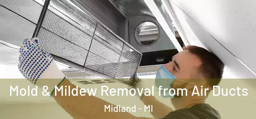  Mold & Mildew Removal from Air Ducts Midland - MI