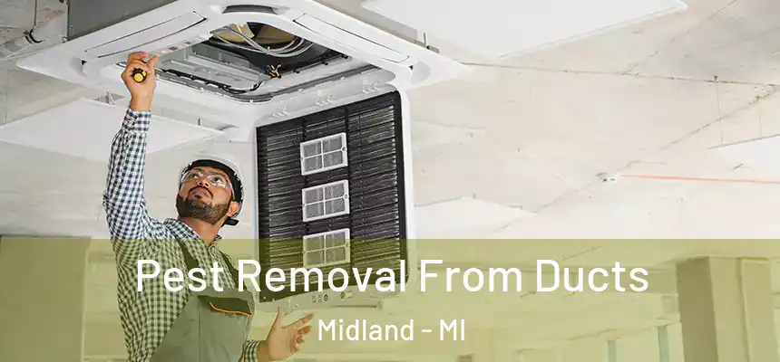 Pest Removal From Ducts Midland - MI