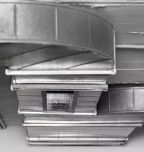 Professional Air Duct Pest Removal in Midland, MI