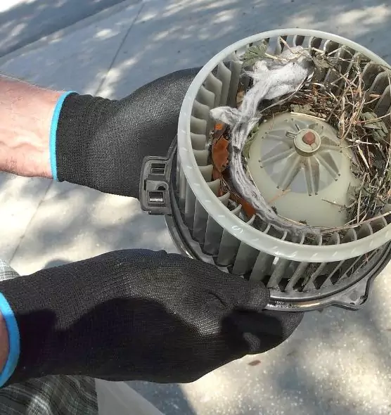 About Air Duct Rat Removal in Midland, MI