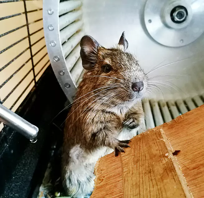 Why Homeowners & Businesses Trust Us Midland, MI